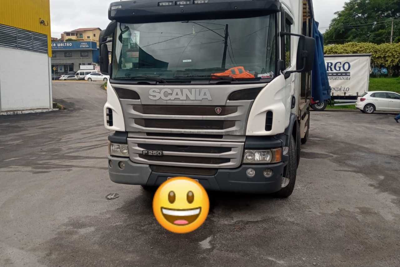 Scania P270 - 12/13 2