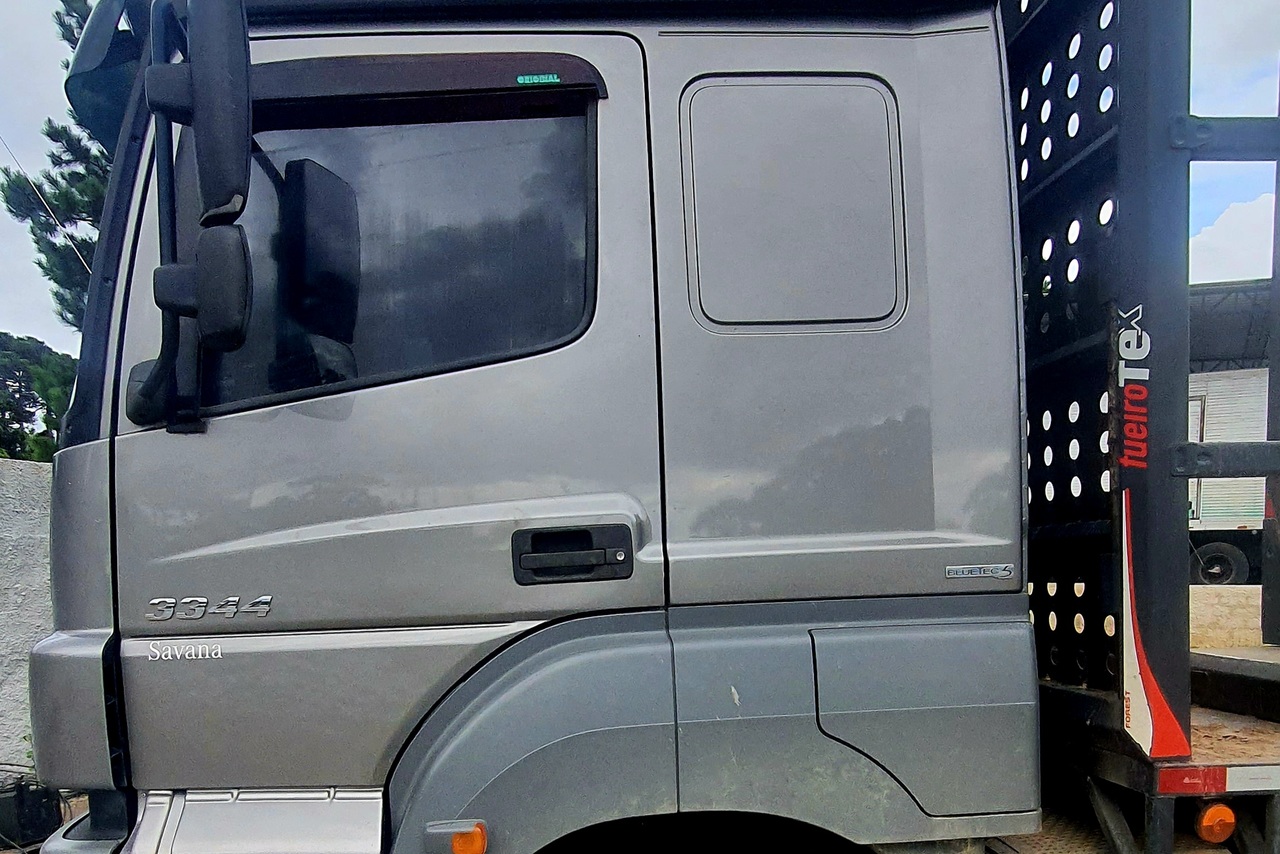 Mercedes Benz MB3344 Plataforma - 16/16 13