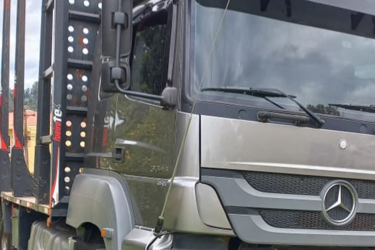 Mercedes Benz MB3344 Plataforma - 16/16 18