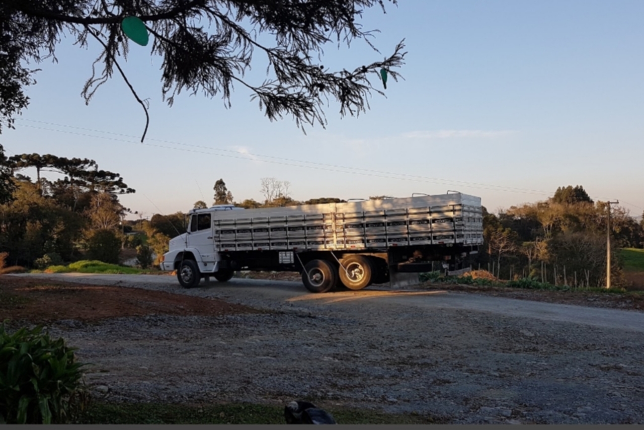 Ford Cargo1418 - 95/95 9