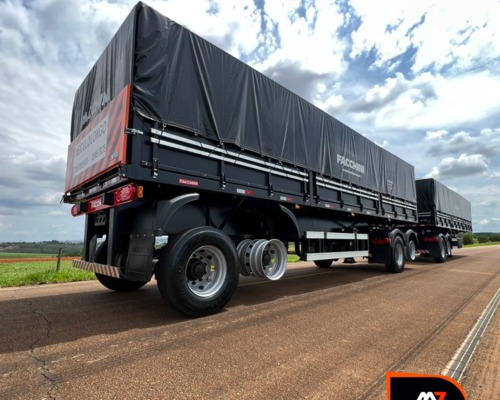 Rodotrem