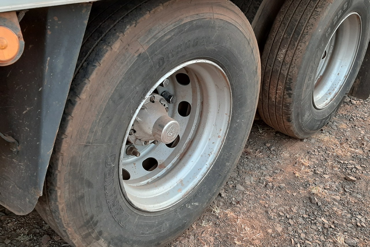 Scania P310 - 13/13 9