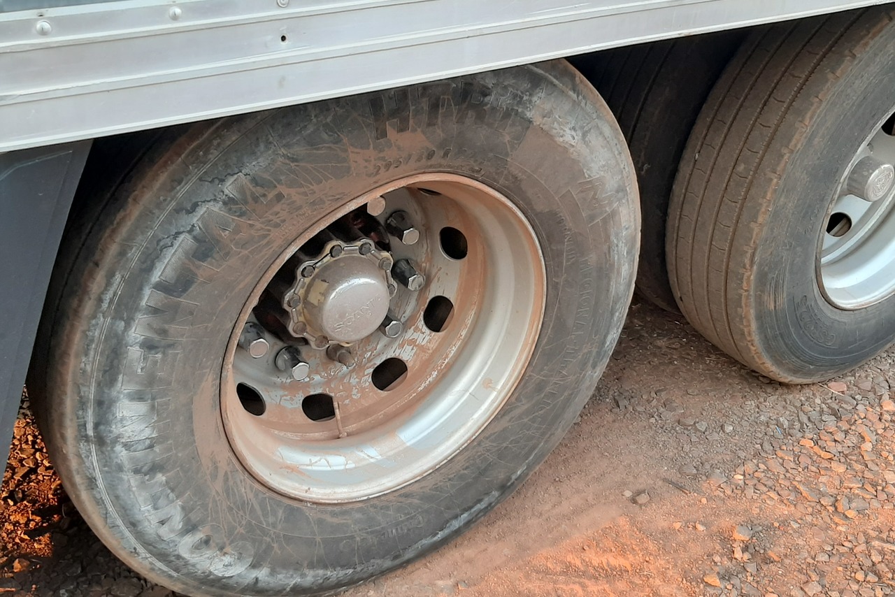 Scania P310 - 13/13 12