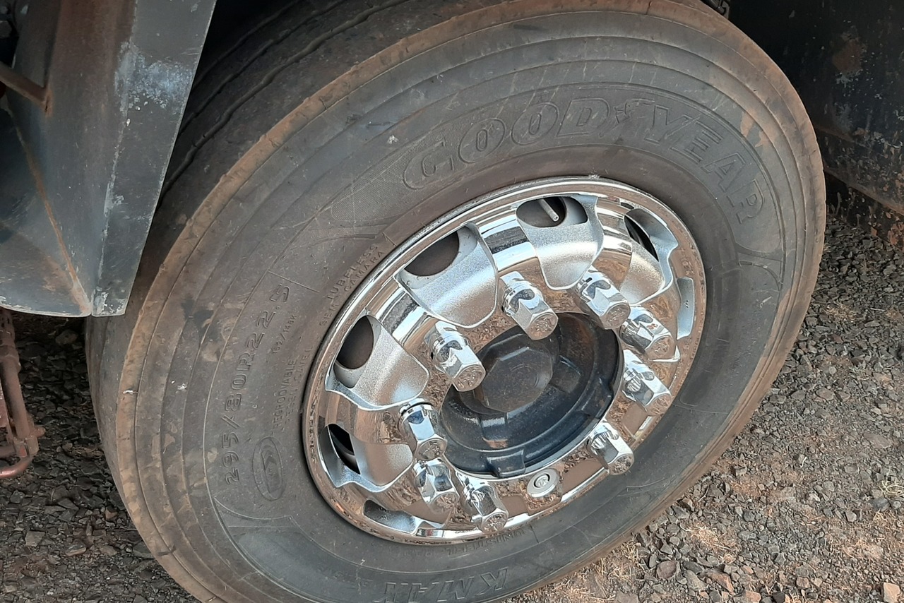 Scania P310 - 13/13 14