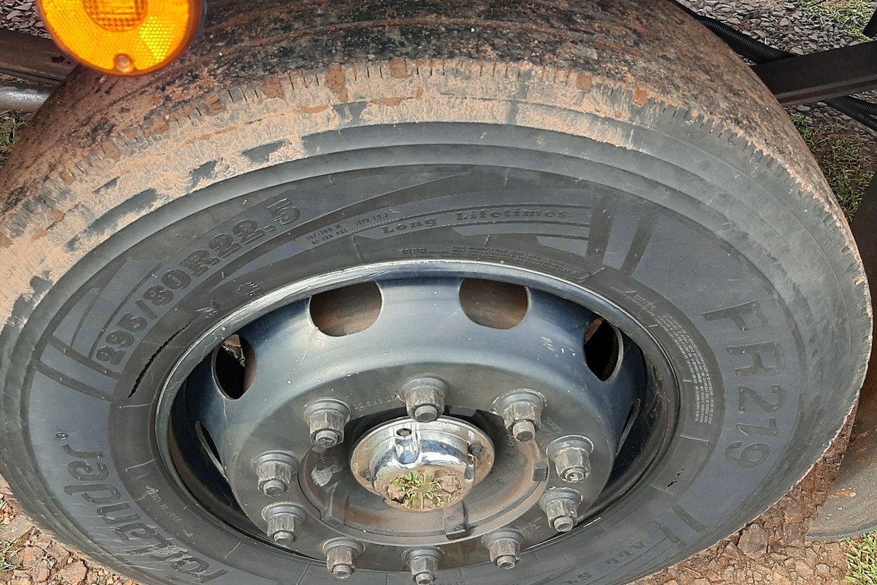 Ford Cargo2429 - 17/17 11