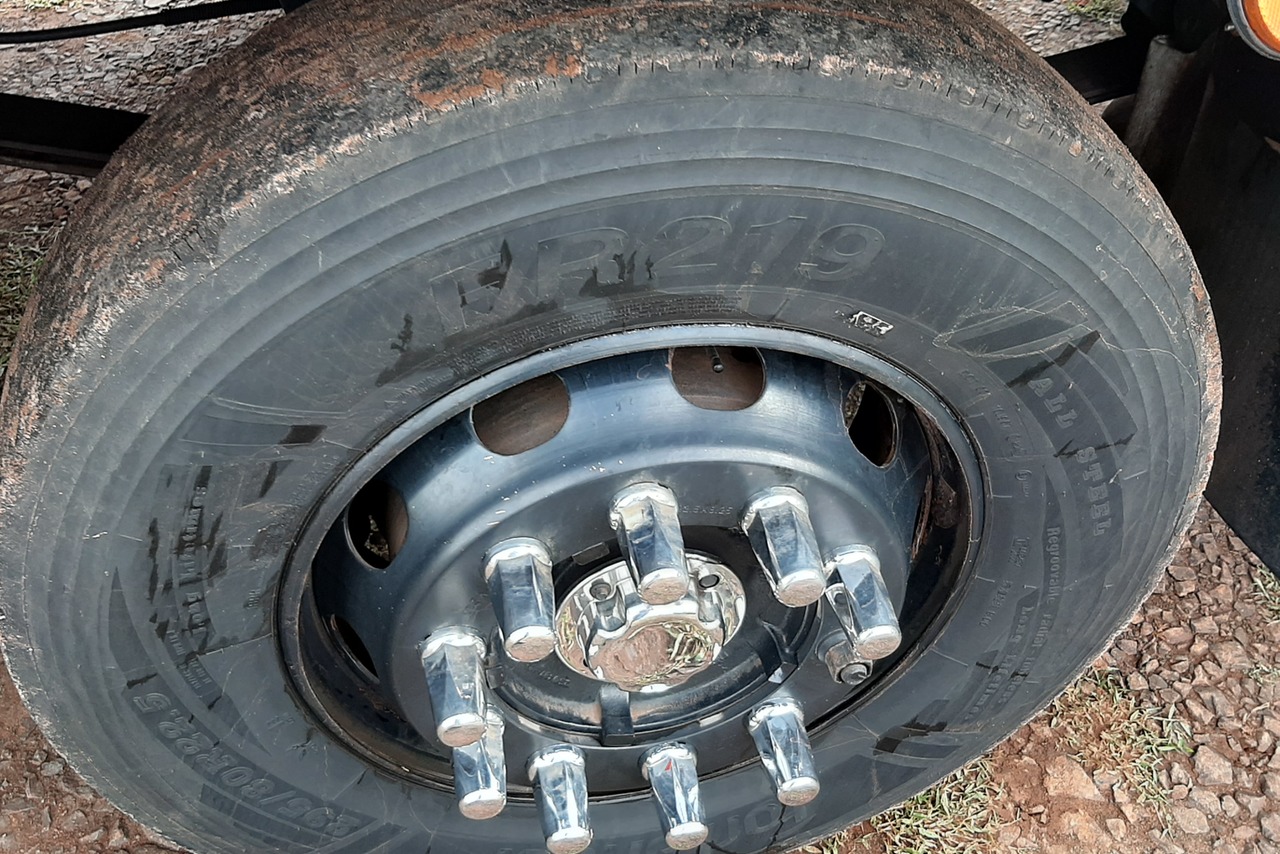 Ford Cargo2429 - 17/17 12