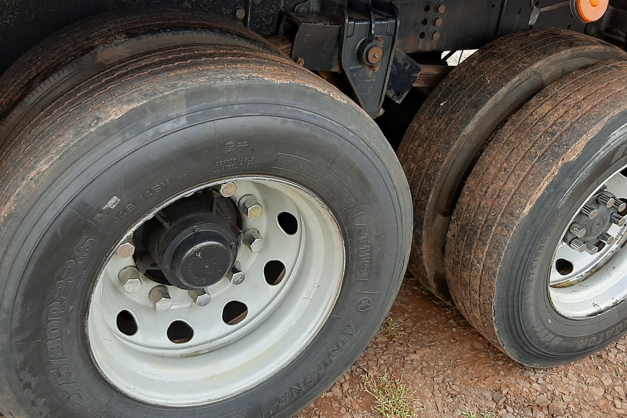 Ford Cargo2429 - 17/17 13