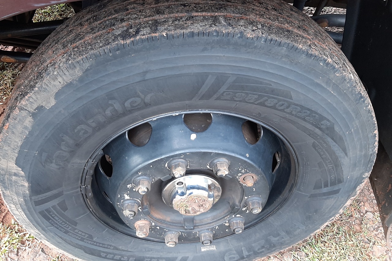 Ford Cargo2429 - 17/17 16