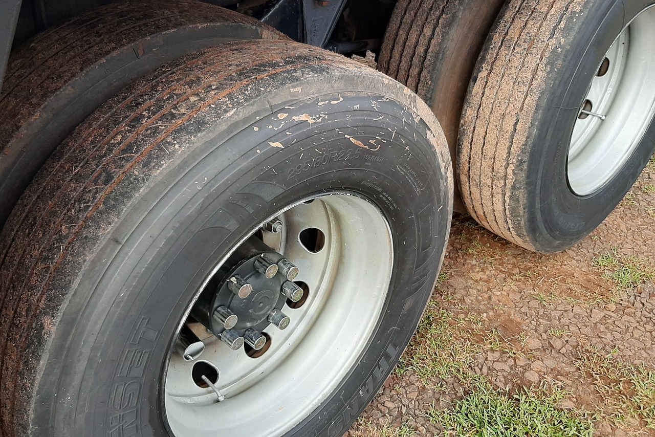 Ford Cargo2429 - 17/17 17
