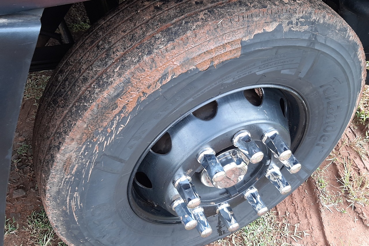 Ford Cargo2429 - 17/17 18