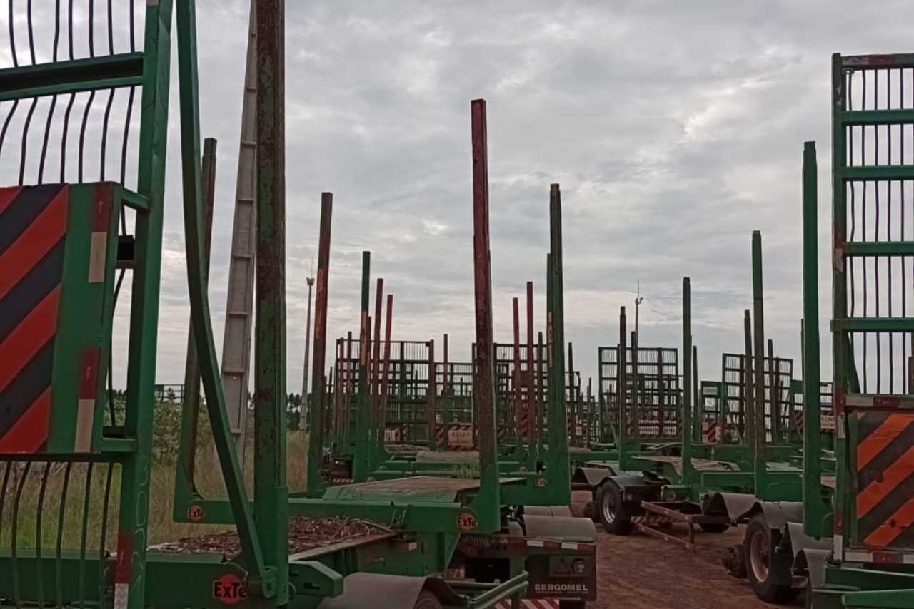 Sergomel Canavieiro - 22/22 3