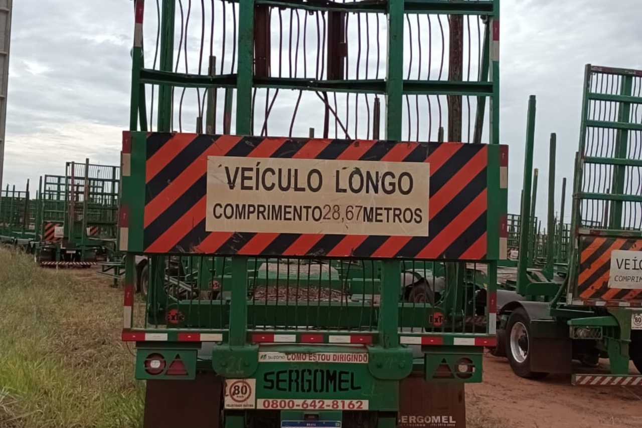 Sergomel Canavieiro - 22/22 8