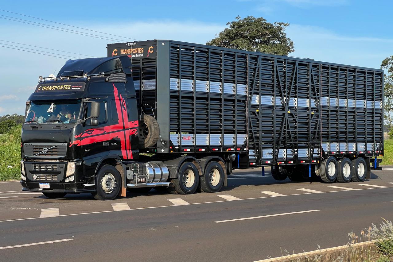 Frota Brasil Carreta Boiadeira 2 eixos baixa - 24/24 23