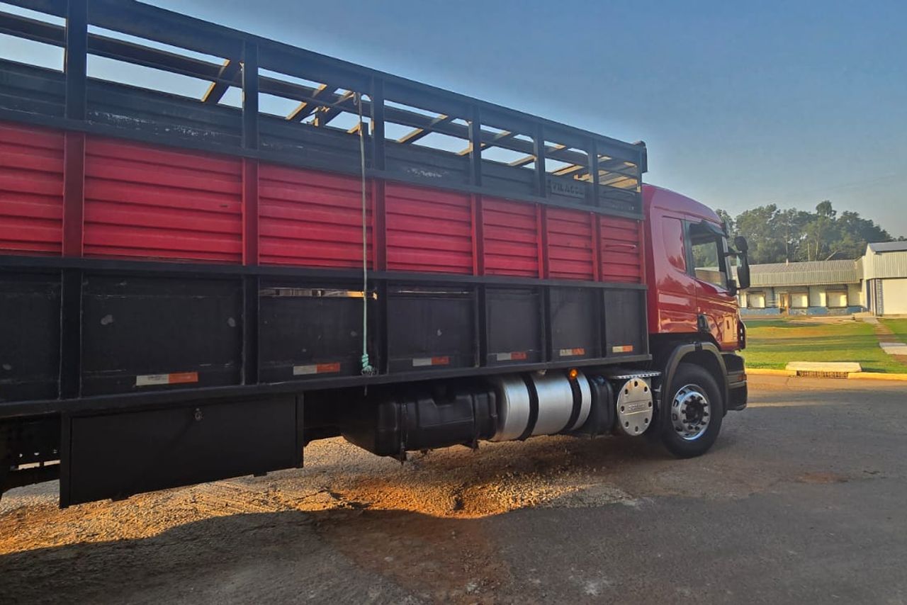 Scania P310 - 13/13 10