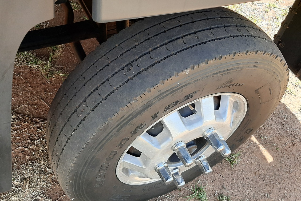 Ford Cargo1119 - 18/18 10