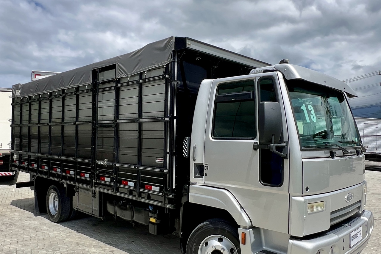 Ford Cargo816 - 13/13 3
