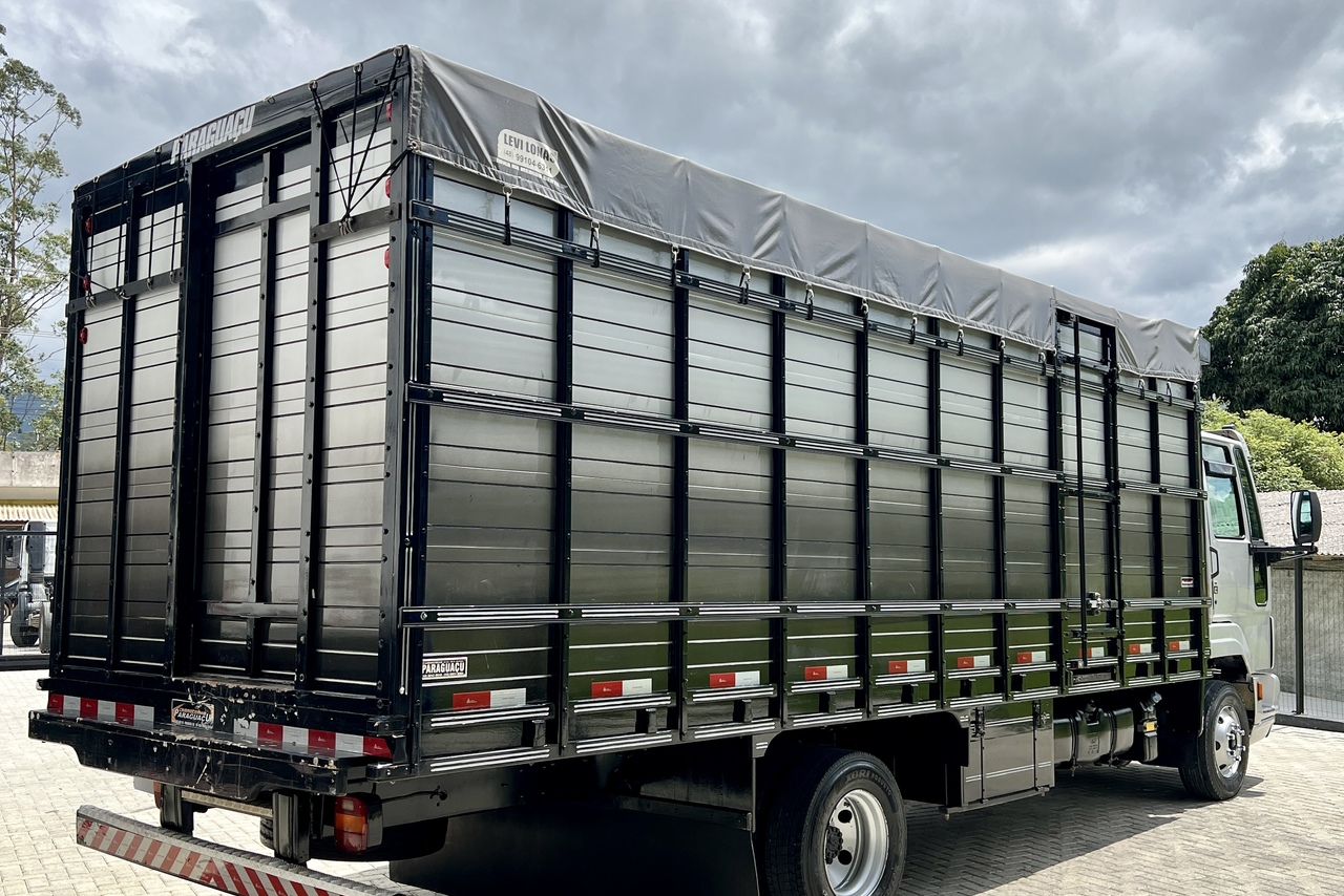 Ford Cargo816 - 13/13 7