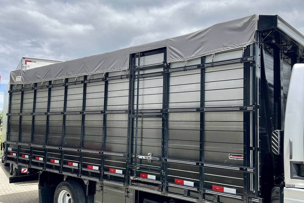 Ford Cargo816 - 13/13 11