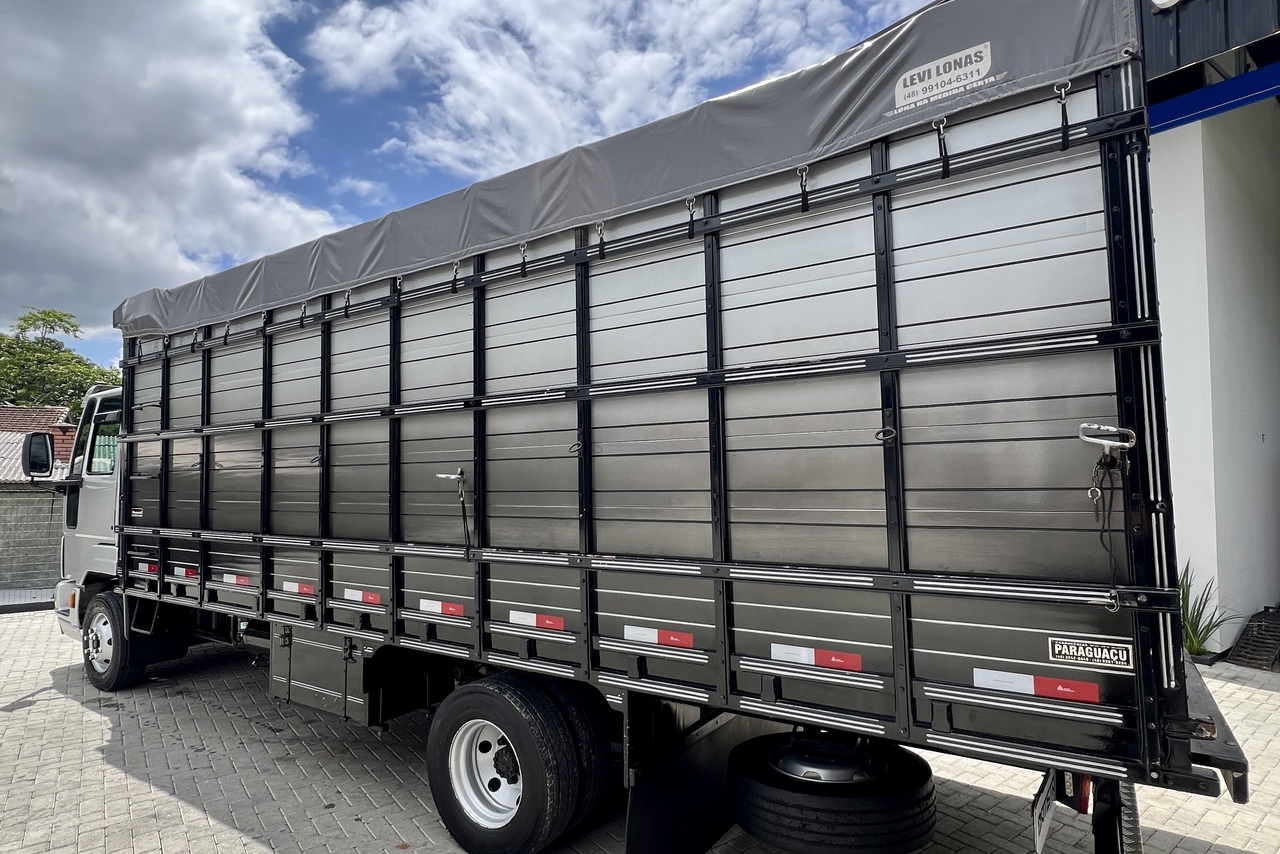 Ford Cargo816 - 13/13 13