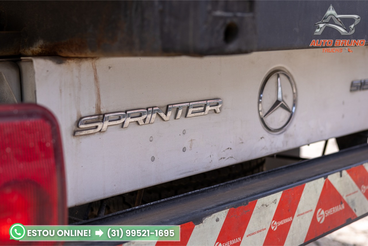 Mercedes Benz  Van Sprinter 515 CDI - 19/19 13