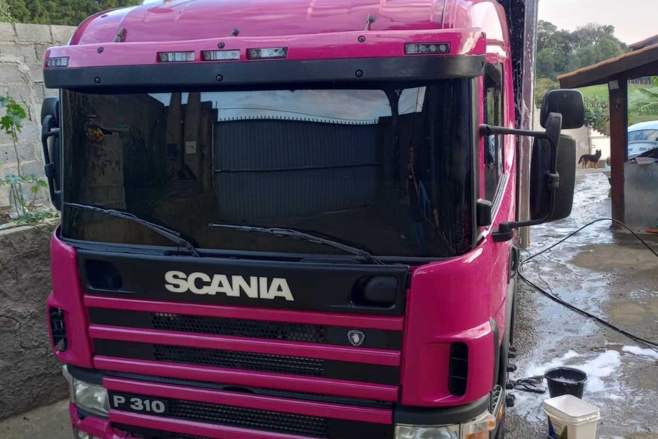 Scania P310 - 06/06 2