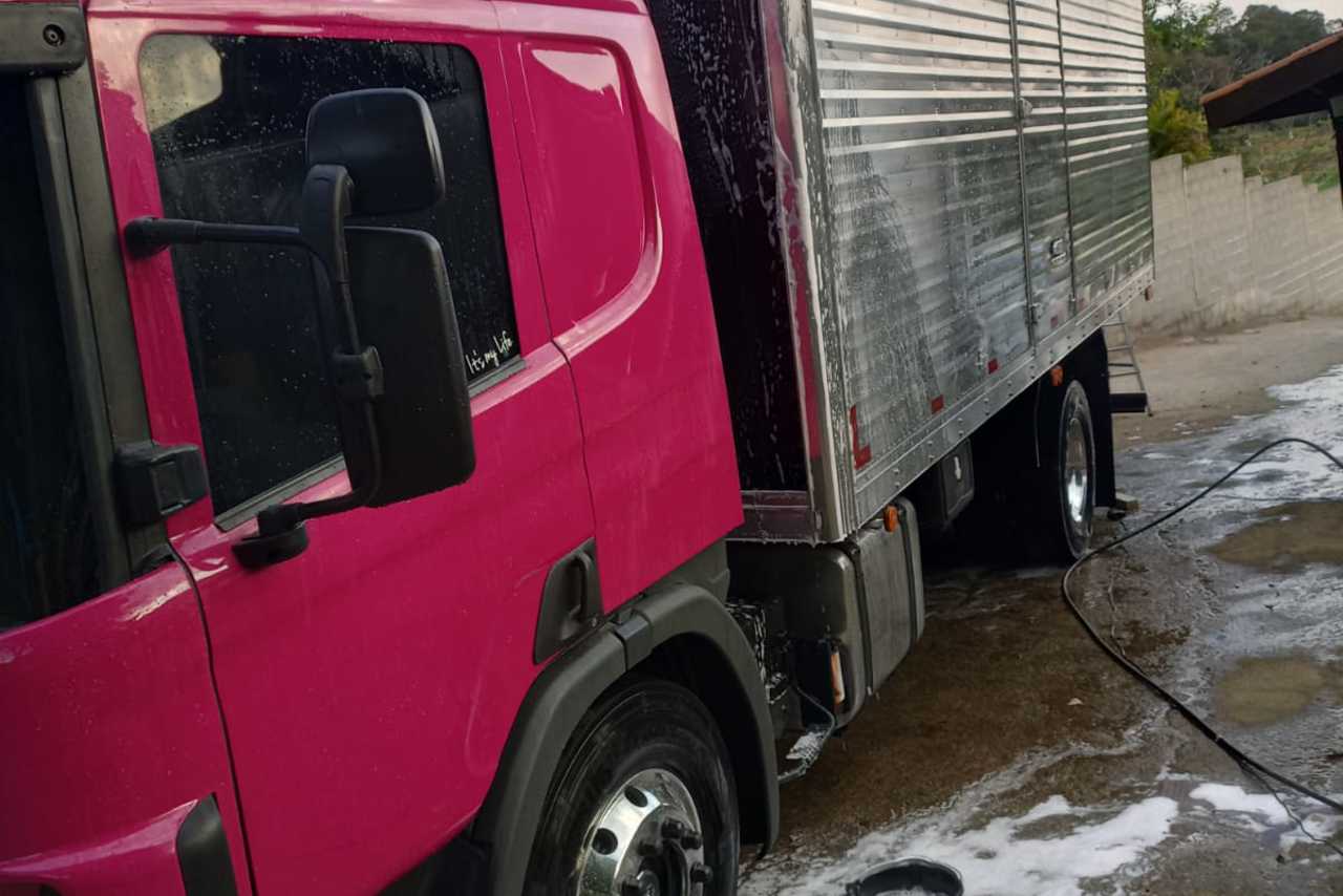 Scania P310 - 06/06 3