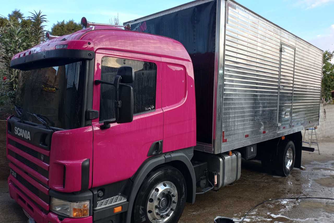 Scania P310 - 06/06 5