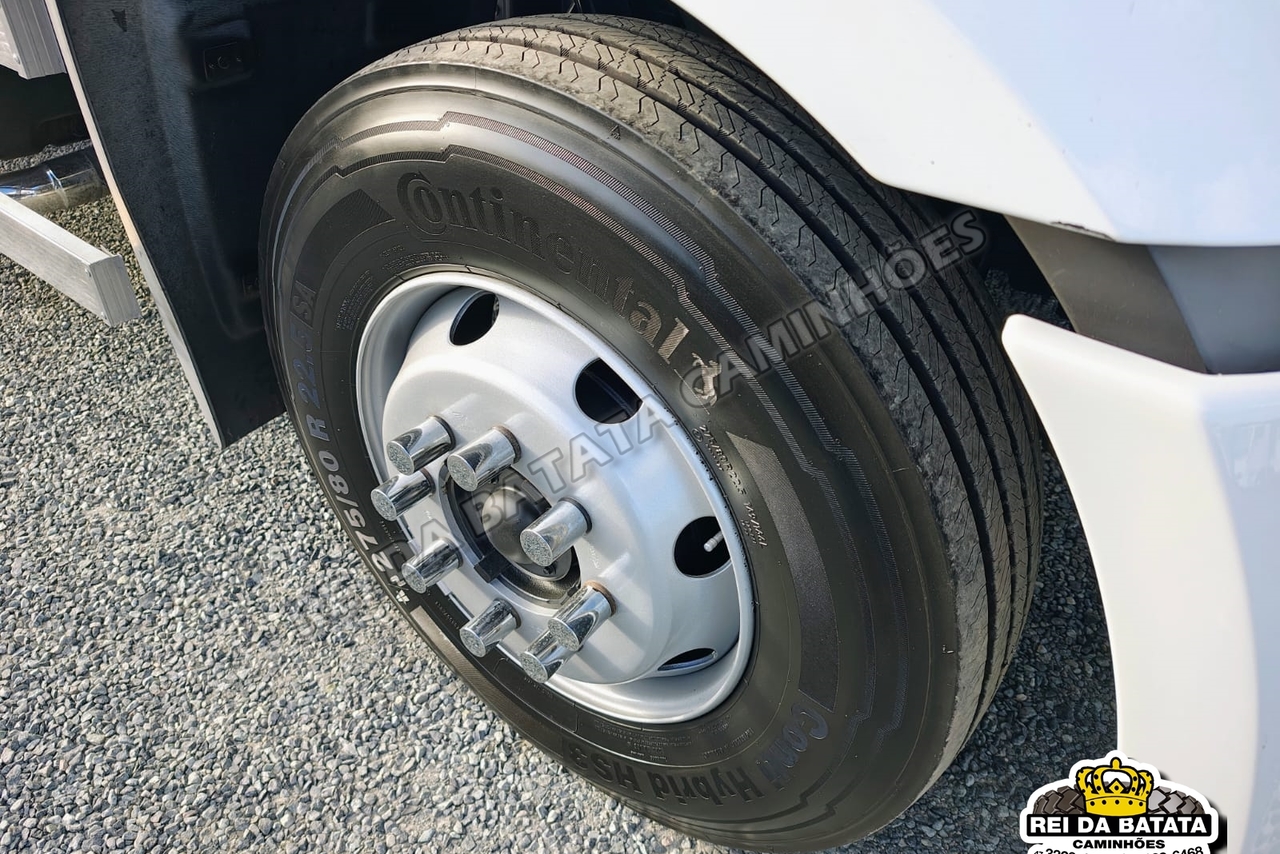 Ford Cargo1317 - 12/12 16