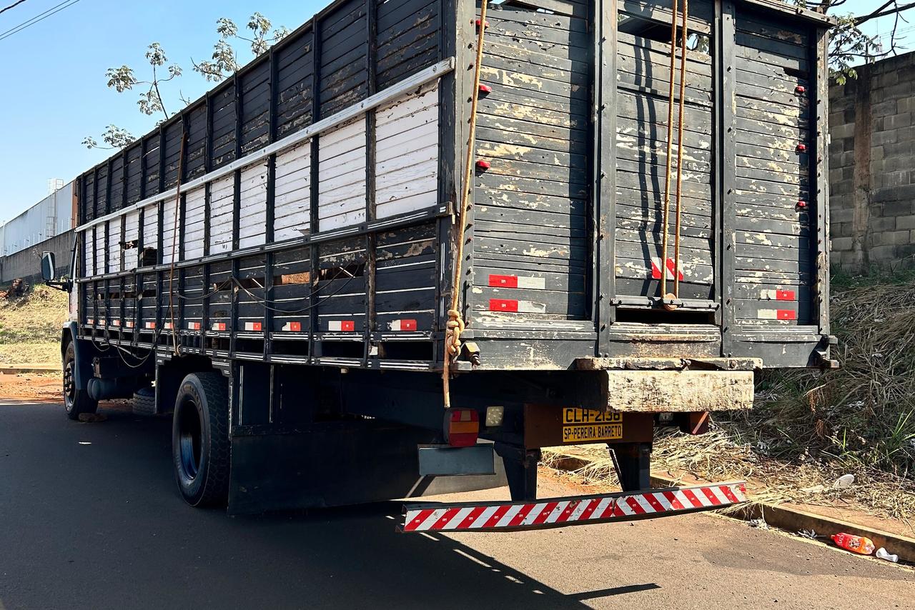 Ford Cargo1215 - 99/99 11