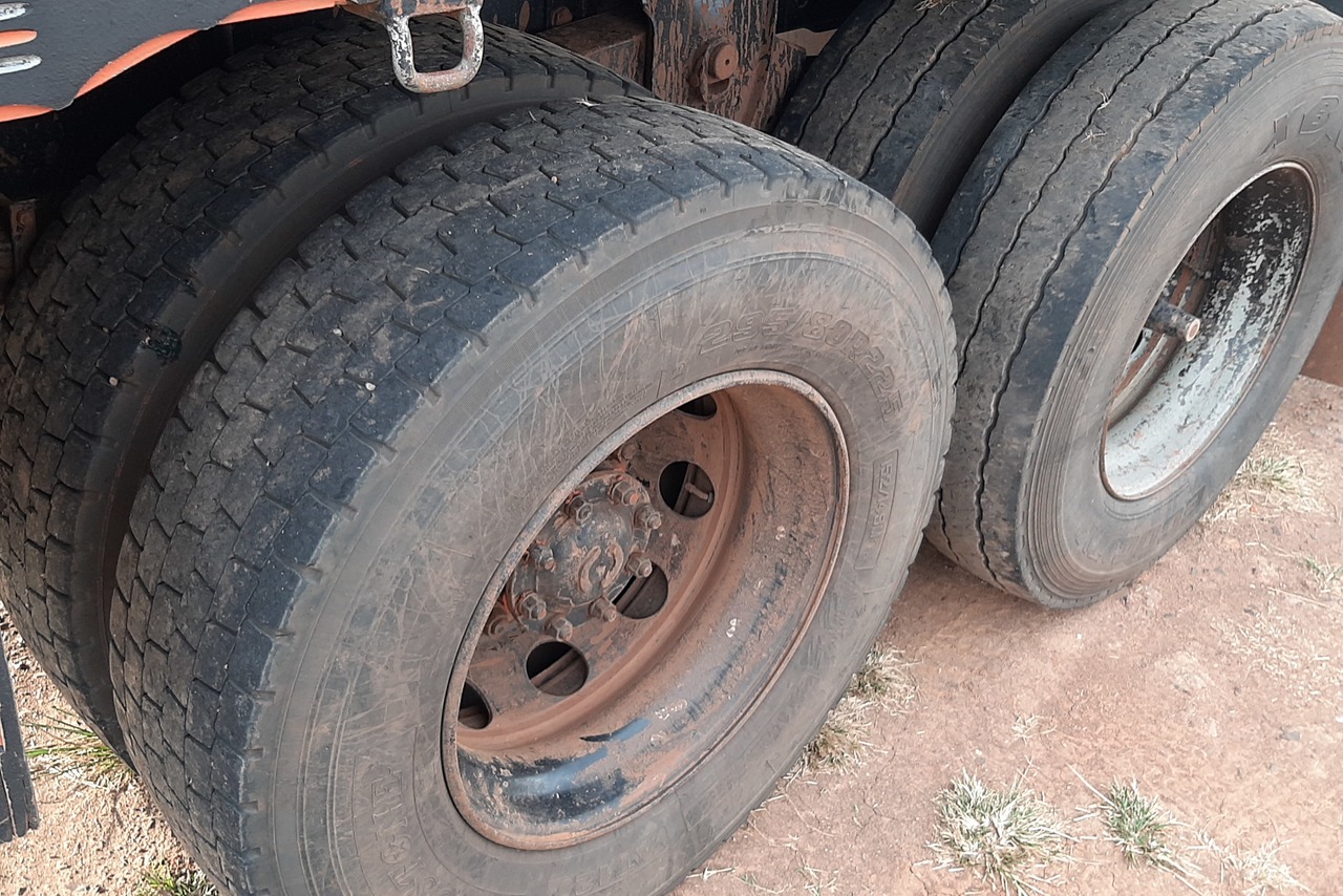 Ford Cargo2422 - 07/07 11