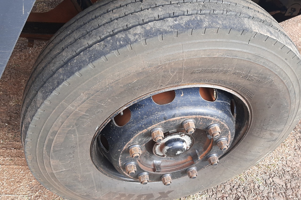 Ford Cargo2422 - 07/07 13