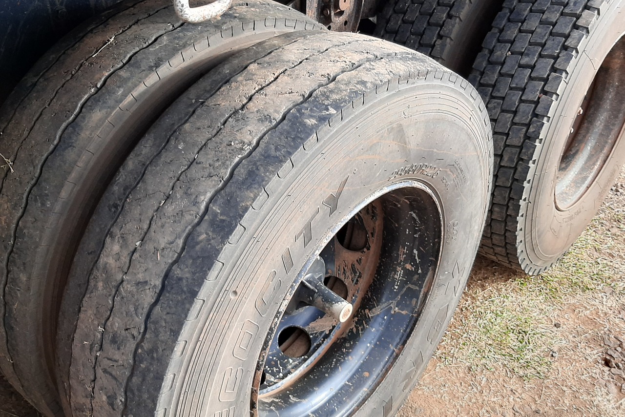 Ford Cargo2422 - 07/07 14