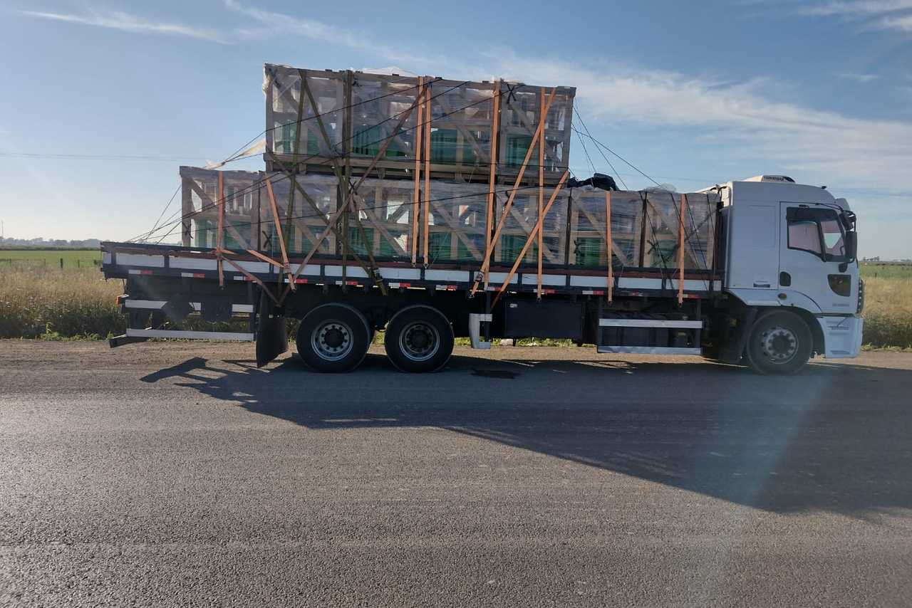 Ford Cargo2429 - 12/12 11