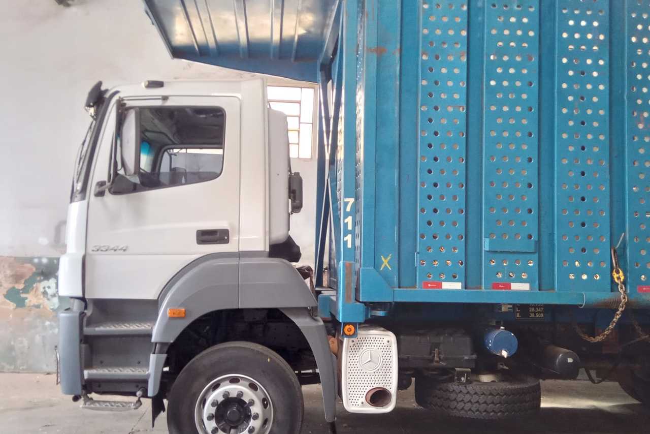 Mercedes Benz MB3344 Plataforma - 07/07 3