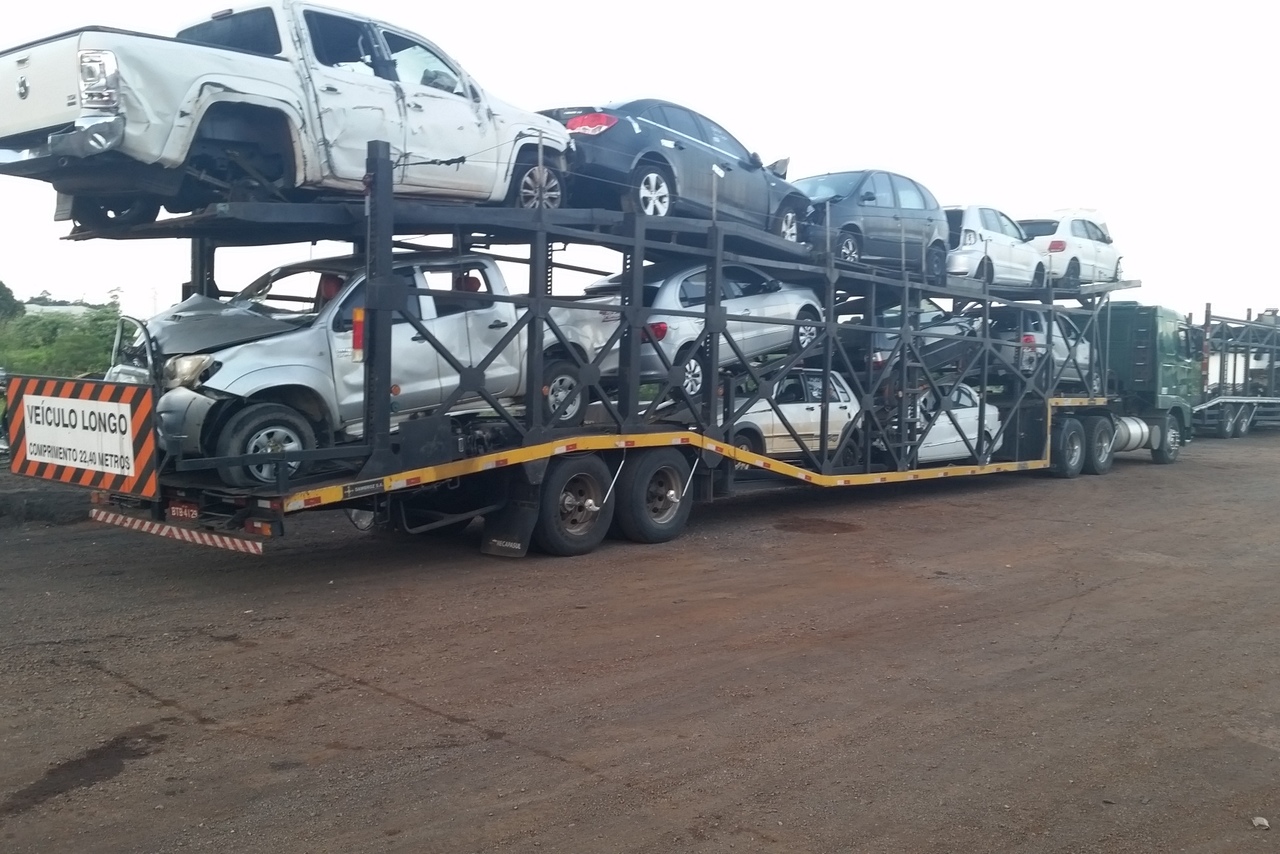 Dambroz Cegonha - 97/97 7