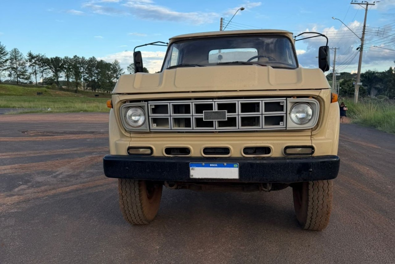 Chevrolet D60 - 80/80 4