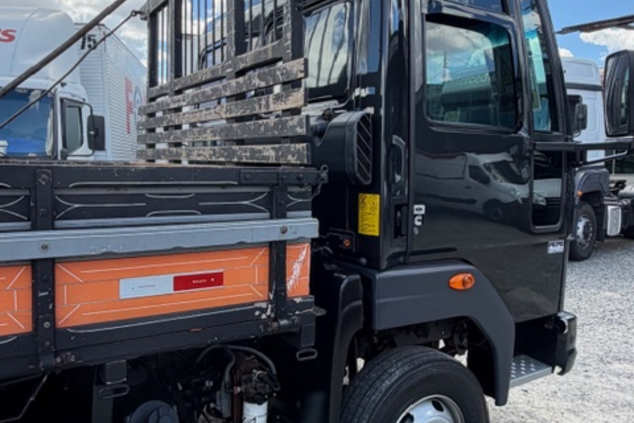 Ford Cargo1119 - 14/14 13