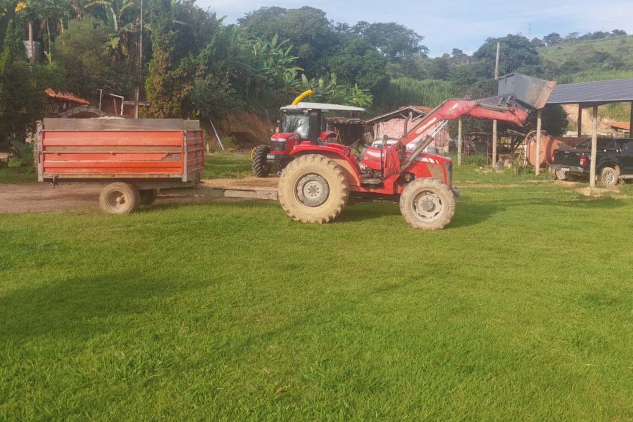 Massey Ferguson 4275 - 12/12 6
