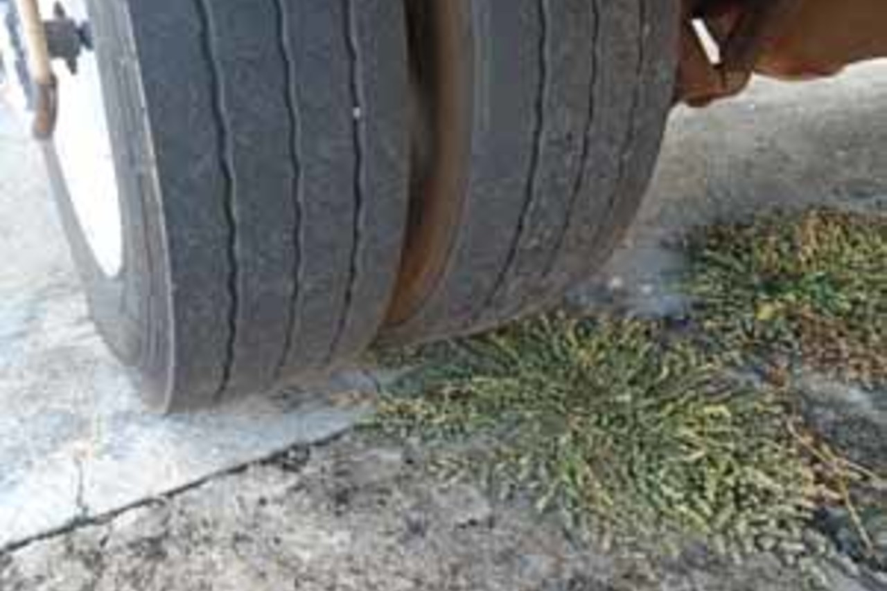 Ford Cargo815 - 10/10 5