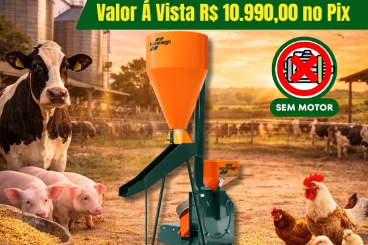 Multimarcas Outros -  2