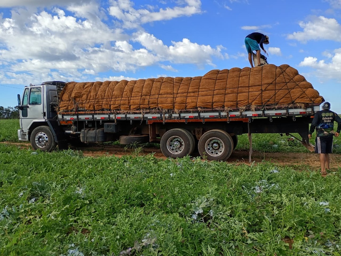 Ford Cargo2428 - 08/09 6