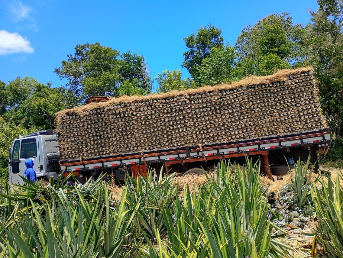 Ford Cargo2428 - 08/09 10