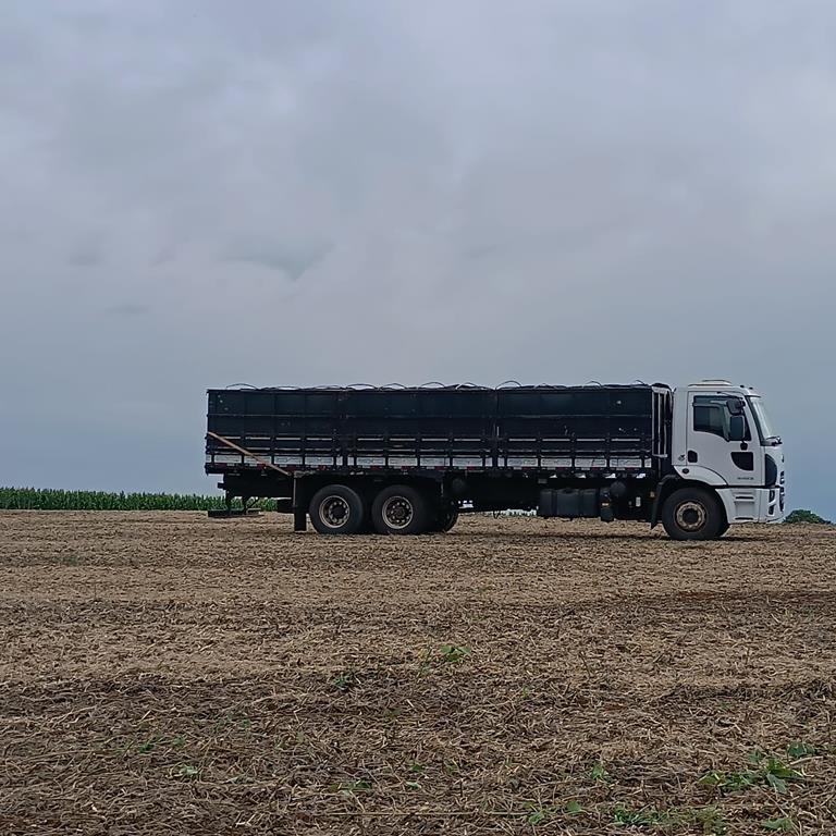Ford Cargo2423 - 14/15 4