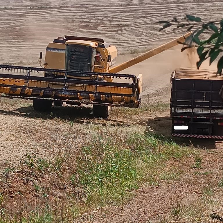 Ford Cargo2423 - 14/15 11