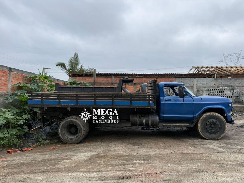 Chevrolet D60 - 79/79 2