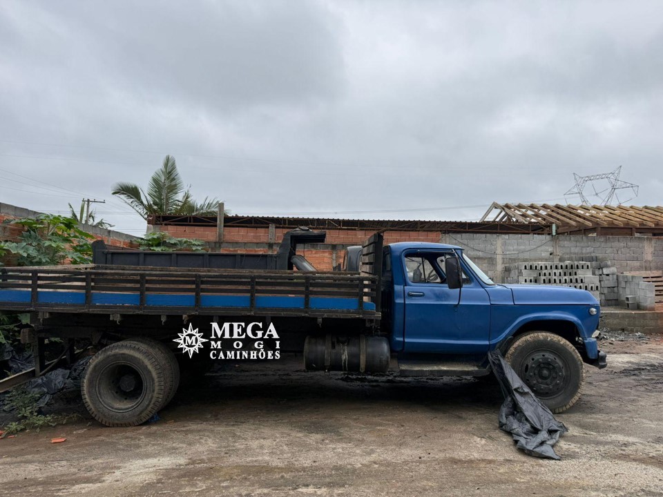 Chevrolet D60 - 79/79 3
