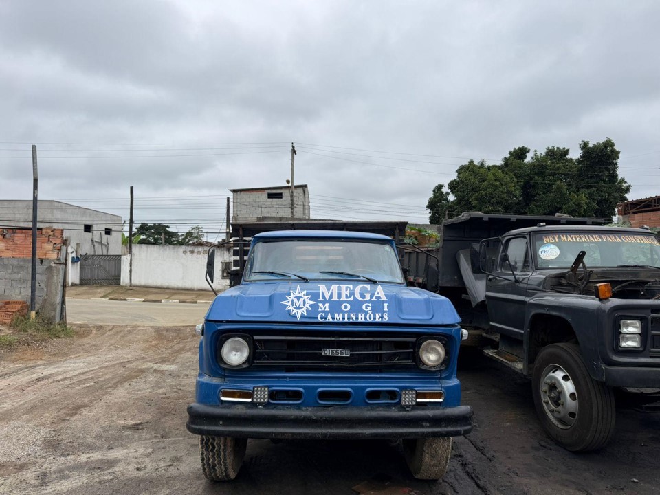 Chevrolet D60 - 79/79 4