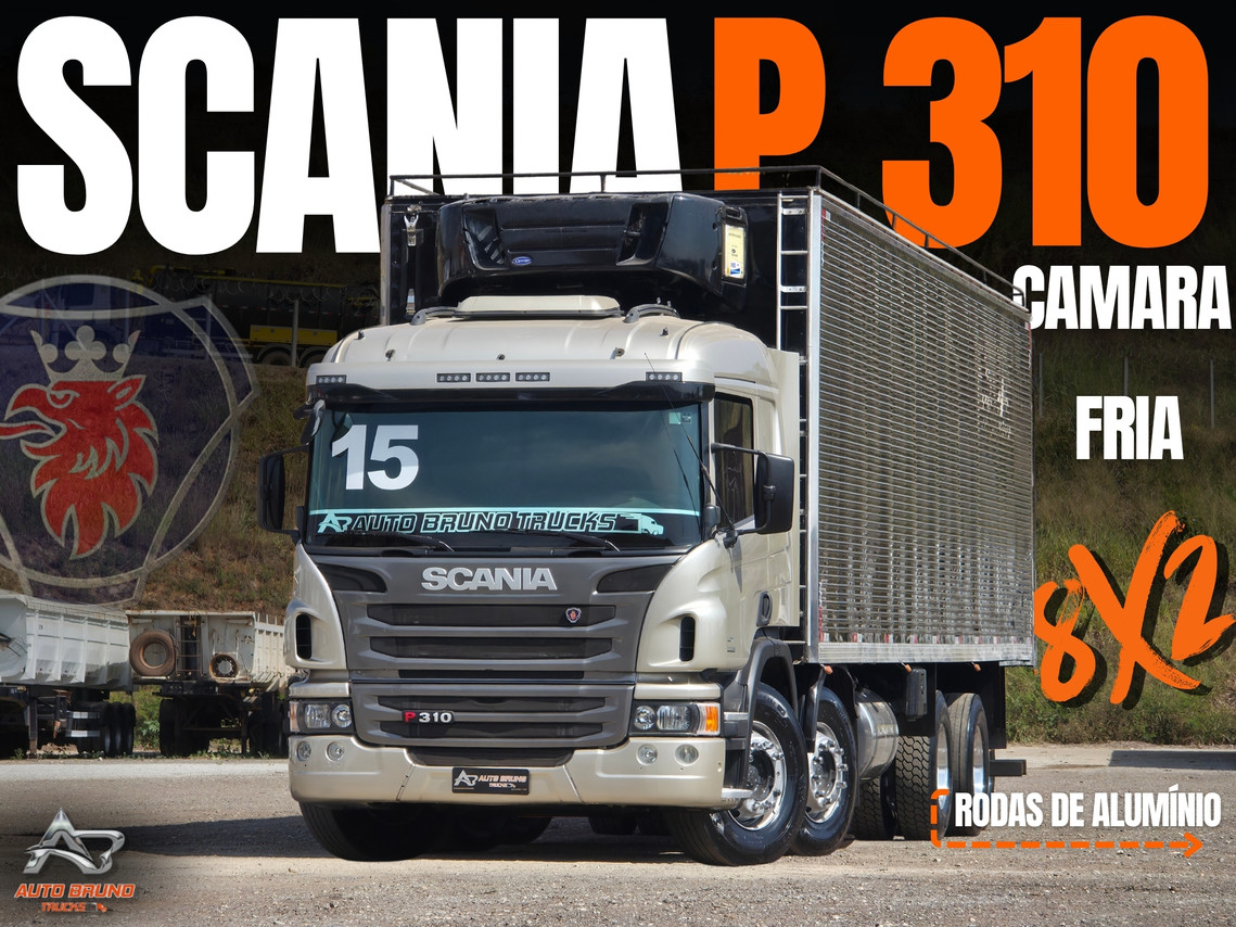 Scania P310 - 15/15 1