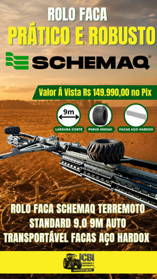 Rolo faca