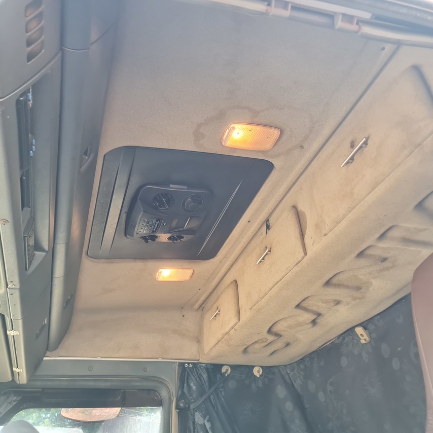 Scania P310 - 13/13 11